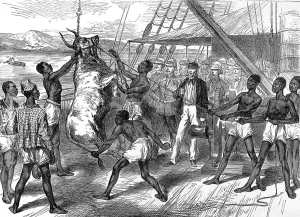Central Prints: Shipping bullocks to Cape Coast Castle, 1874
