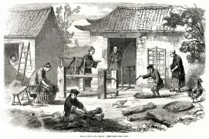 1857 Prints: Silk culture in China 1857