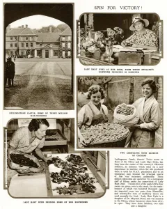 Industry Prints: Silk production at Lullingstone Castle