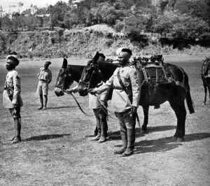 Viceroy Prints: Simla Horse Show