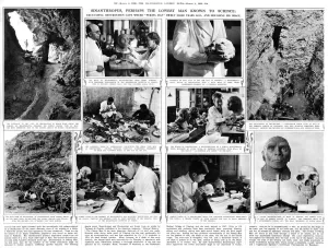 Human Prints: Sinanthropus, perhaps the lowest man known to science