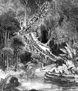 August Prints: Sir Henry Morton Stanley and his followers hauling canoes up