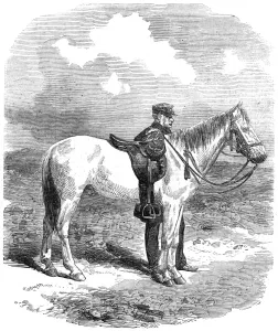 Crimea Prints: Sir William Codrington