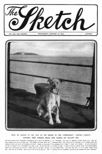 Bravery Prints: Sketch cover, Captain Loxleys faithful dog, WW1