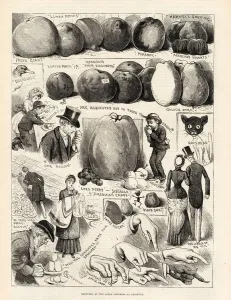 Fruit Prints: Sketches at the Apple Congress at Chiswick