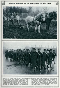 Duties Prints: Soldiers released by the War Office for land 1917