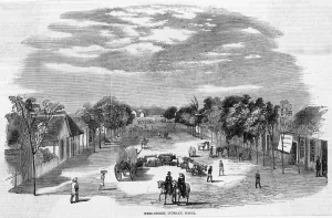 1857 Prints: South Africa Durban