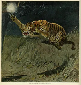 Cats Prints: Springing Tiger