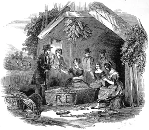 Carried Prints: The Strawberry Trade - pottling