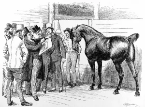 Islington Prints: The Summer Horse Show, Islington, 1892