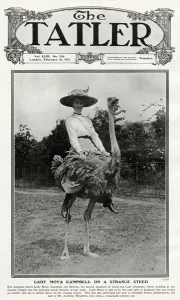 Unusual Prints: Tatler cover - Lady Moya Campbell on an ostrich