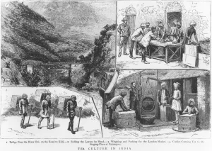 Packing Prints: Tea Culture in India