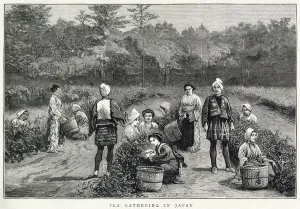 1881 Prints: Tea gathering in Japan