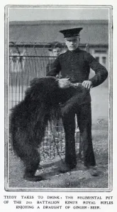 Indian Prints: Teddy enjoying a draught of ginger-beer, the 2nd Battalion Kings Rifles pet