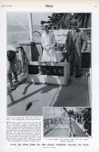 Roberts Prints: Terrier racing in Juan les Pins