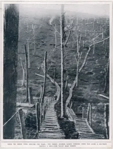 Tracks Prints: Timber roads on the battlefields near Verdun
