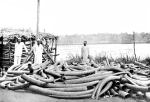 August Prints: Tippoo Tibs Ivory Store at Stanley Falls, Lualaba River, c