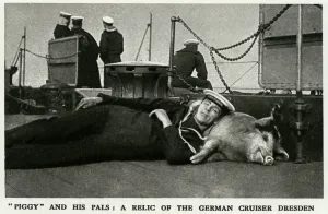 Mar16 Prints: Tirpitz the pig: naval mascot of HMS Glasgow, WW1