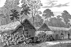 Central Prints: Town of Barracoe, Gold Coast, 1874