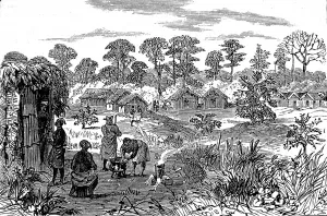 Central Prints: The town of Sutah, Gold Coast, 1874