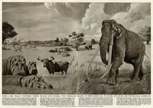 Elephants Prints: The Trafalgar Square of 100, 000 years ago