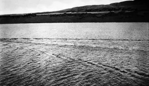 Size Prints: Trail left by the Loch Ness Monster?