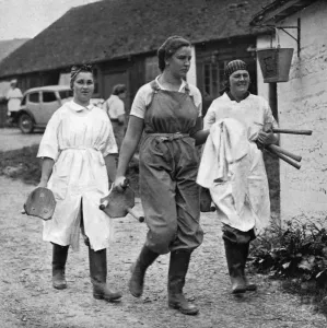 Milking Prints: Trainee milkmaids, Womens Land Army, 1939