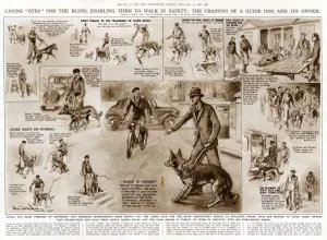 Crowds Prints: Training a guide dog and its owner