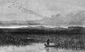 Standing Prints: Transatlantic Sketches, Iowa Prairie
