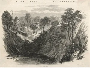 Tourism Prints: Travel / Australia / Bush Rd