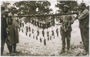 Rats Prints: Trench Rats