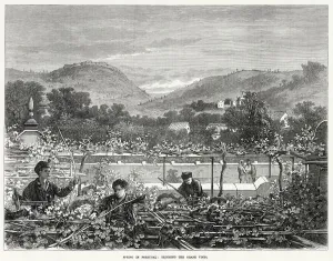 Season Prints: Trimming the grape vines in spring. Date: 1873