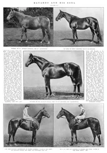 Triple Prints: Triple-crown winner, Gainsborough