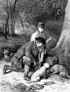 1869 Prints: Truffle hunting