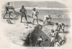 Excavations Prints: Tunisia / Carthage / Excav