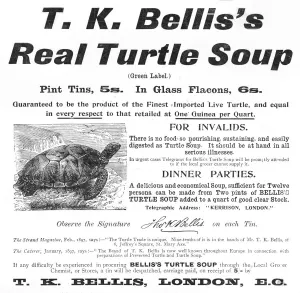 Soup Prints: Turtle Soup Advertisement
