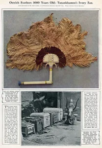 Tutankhamen Prints: Tutankhamuns ivory fan with ostrich feathers