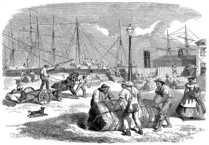 Images Dated 8th July 2004: Unloading Cotton at Nassa, New Providence, 1864