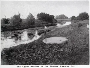 Summer Prints: The upper reaches of the Thames running dry in Gloucestershire