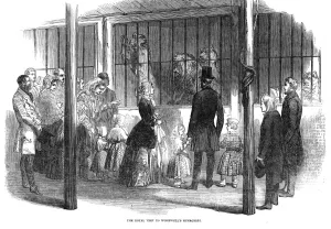 Lions Prints: Vic Visits Wombwells