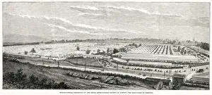 International Prints: View of the International Exhibition of the Royal Agricultural Society in London - the show-yard at Kilburn