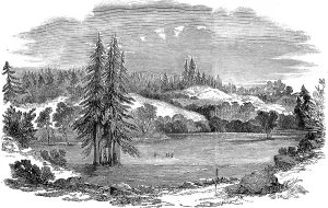 Beautiful Prints: A view near Russian River, California, 1851