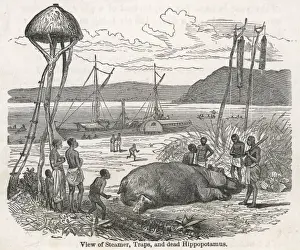 Steamer Prints: View of stamer, traps and dead hippo / Livingstone expedition