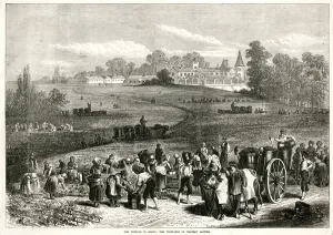 Fields Prints: Vintage in Medoc: Vineyards of Chateau Lafitte 1871