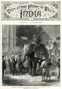 Tour Prints: Visit of the Prince of Wales to India - elephants