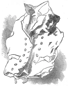 Trafalgar Prints: The waistcoat of Nelson worn at the Battle of Trafalgar