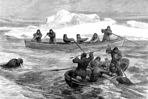 August Prints: Walrus Hunting during the Pandora Arctic Expedition, 1876
