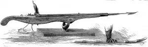 Period Prints: Whale Gun and Snow-shoe, 1875