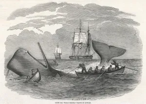 Rowing Prints: Whaling / South Seas 1847