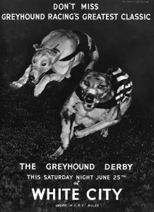 Tracks Prints: White City greyhound racing advertisement, 1938